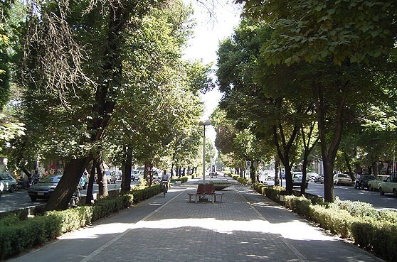 اخبار اجتماعی,خبرهای اجتماعی,شهر و روستا,چهارباغ اصفهان