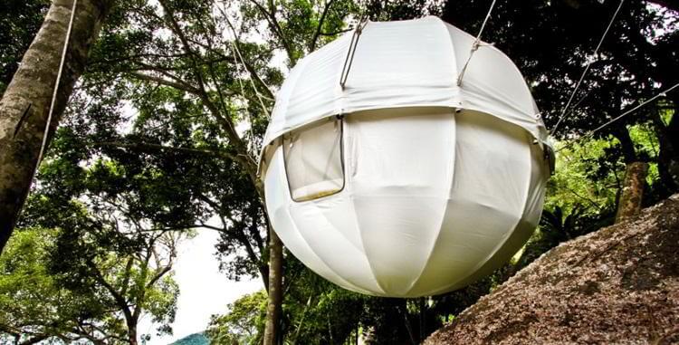 خانه درختی،خواندنی ها و دیدنی ها،خبرهای جالب،اخبار جالب اخبار جالب,خبرهای جالب,خواندنی ها و دیدنی ها,خانه درختی