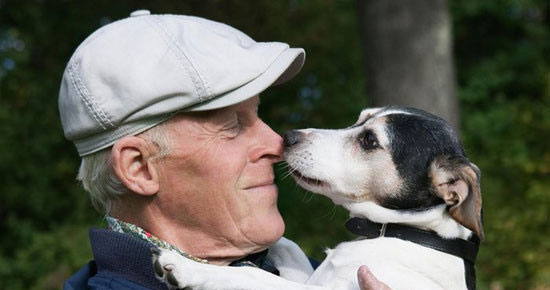 بدن انسان،خواندنی ها و دیدنی ها،خبرهای جالب،اخبار جالب اخبار جالب,خبرهای جالب,خواندنی ها و دیدنی ها,بدن انسان