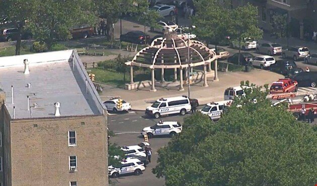 بیمارستان نیویورک،اخبار بین الملل،خبرهای سیاسی،اخبار سیاسی اخبار سیاسی,خبرهای سیاسی,اخبار بین الملل,بیمارستان نیویورک