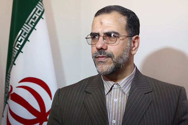 اخبار سیاسی,خبرهای سیاسی,دولت,حسینعلی امیری