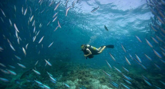 اخبار جالب,خبرهای جالب,خواندنی ها و دیدنی ها,جزایر مرجانی مالدیو