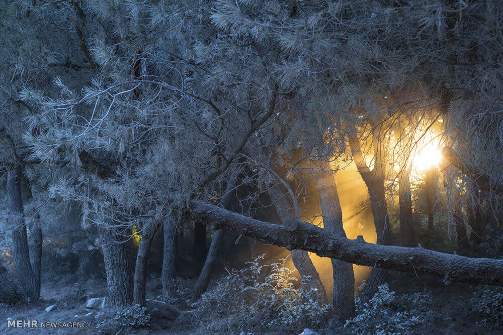 عکس شرکت کننده در مسابقه نشنال,تصاویرشرکت کننده در مسابقه نشنال, عکس شرکت کنندگان نشنال جغرافیک