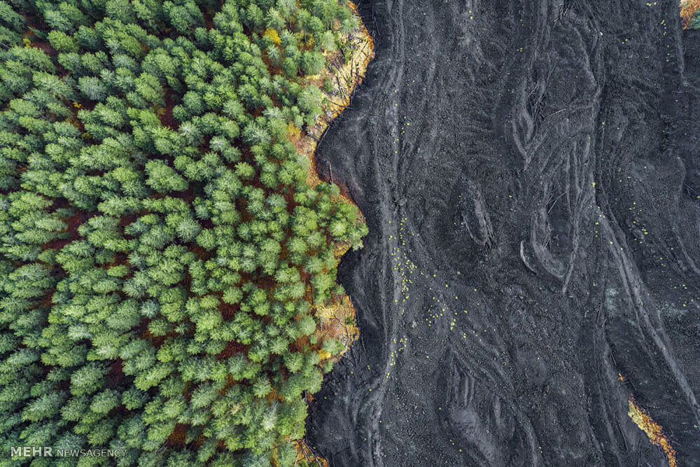 عکس شرکت کننده در مسابقه نشنال,تصاویرشرکت کننده در مسابقه نشنال, عکس شرکت کنندگان نشنال جغرافیک