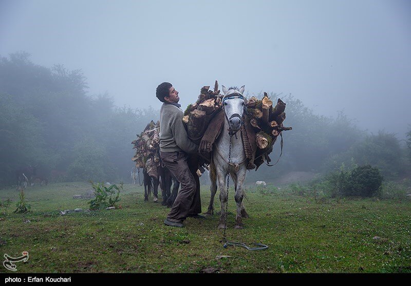 عکس های طبیعت روستای فیلبند استان مازندران,تصاویر طبیعت روستای فیلبند استان مازندران,عکس های ارتفاعات و جنگل های استان مازندران