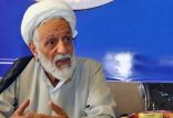 اخبار سیاسی,خبرهای سیاسی,اخبار سیاسی ایران,محمد تقی رهبر