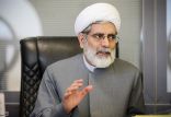 اخبار اجتماعی,خبرهای اجتماعی,حقوقی انتظامی,محسن رهامی