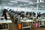 اخبار اشتغال و تعاون,خبرهای اشتغال و تعاون,اشتغال و تعاون,اشتغال
