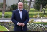 اخبار اقتصادی,خبرهای اقتصادی,نفت و انرژی,بیژن نامدار زنگنه