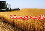 اخبار اقتصادی,خبرهای اقتصادی,اقتصاد کلان,عقد مزارعه