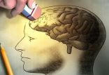 اخبار پزشکی,خبرهای پزشکی,تازه های پزشکی,حافظه مغز