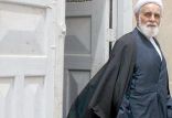 اخبار سیاسی,خبرهای سیاسی,اخبار سیاسی ایران,علی اکبر ناطق نوری