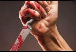 اخبار حوادث,خبرهای حوادث,جرم و جنایت,قتل با ضربه چاقو