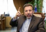 اخبار سیاسی,خبرهای سیاسی,اخبار سیاسی ایران,محمود واعظی