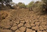 اخبار اجتماعی,خبرهای اجتماعی,محیط زیست,خشکسالی