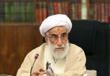 اخبار سیاسی,خبرهای سیاسی,اخبار سیاسی ایران,احمد جنتی