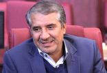 اخبار سیاسی,خبرهای سیاسی,مجلس,احمد انارکی