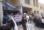 اخبار اقتصادی,خبرهای اقتصادی,کشت و دام و صنعت,دور ریختن شیر