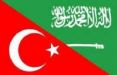 اخبار سیاسی,خبرهای سیاسی,خاورمیانه,ترکیه- عربستان