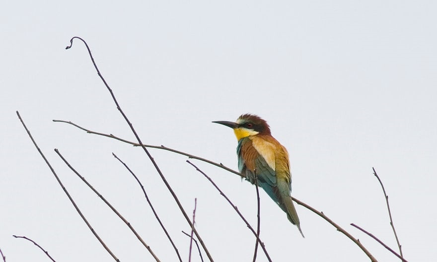 عکس جذاب و دیدنی روز,تصاویر جذاب و دیدنی روز,عکس جذاب روز دنیا