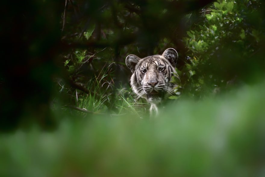 عکس جذاب و دیدنی روز,تصاویر جذاب و دیدنی روز,عکس جذاب روز دنیا
