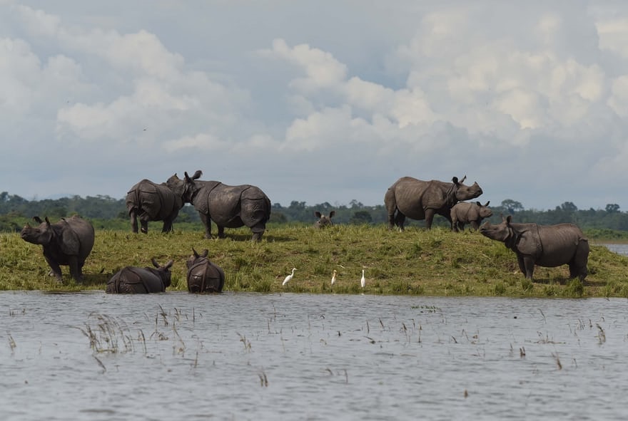 عکس جذاب و دیدنی روز,تصاویر جذاب و دیدنی روز,عکس جذاب روز دنیا