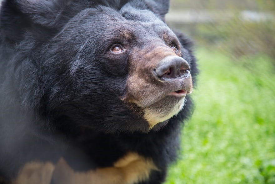 عکس جذاب و دیدنی روز,تصاویر جذاب و دیدنی روز,عکس جذاب روز دنیا