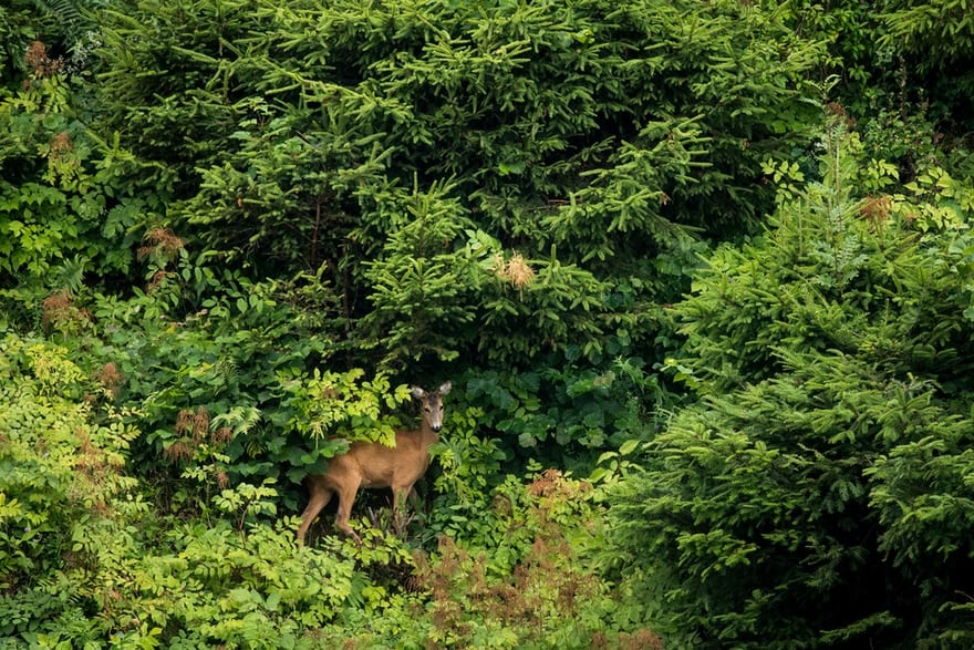 عکس جذاب و دیدنی روز,تصاویر جذاب و دیدنی روز,عکس جذاب روز دنیا