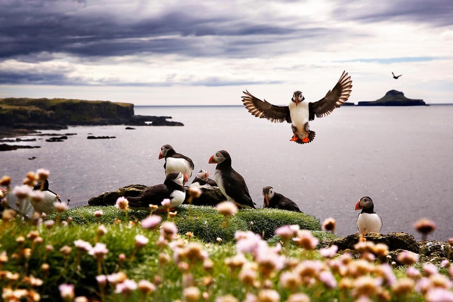 عکس جذاب و دیدنی روز,تصاویر جذاب و دیدنی روز,عکس جذاب روز دنیا