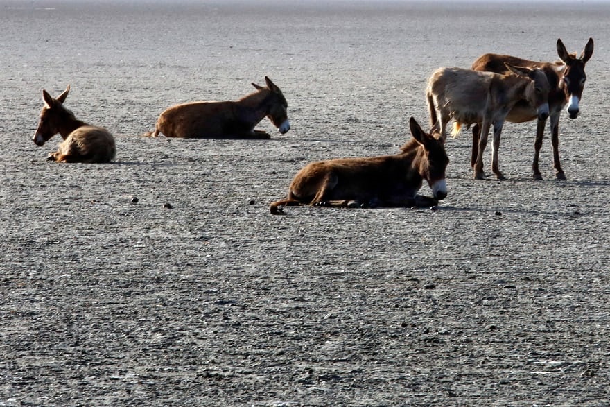 عکس جذاب و دیدنی روز,تصاویر جذاب و دیدنی روز,عکس جذاب روز دنیا