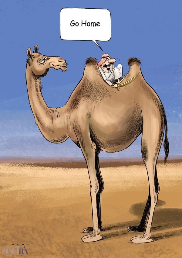 عکس کاریکاتورشاهکار عربستان در ثبت کینه شتری