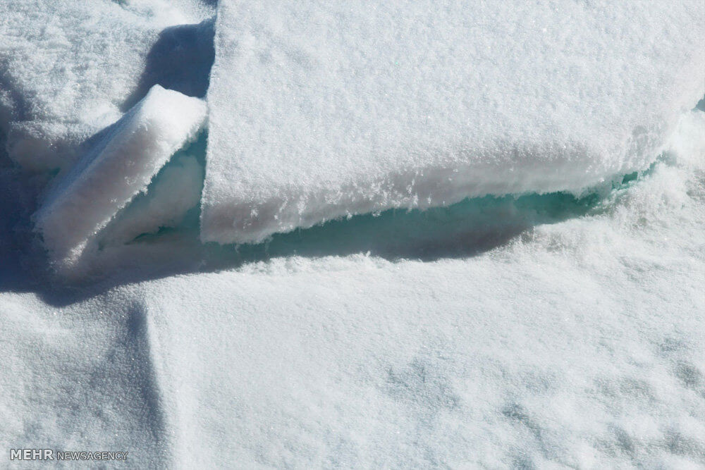 عکس آب شدن یخ,تصاویر آب شدن یخ,عکس آب شدن یخ در قطب شمال