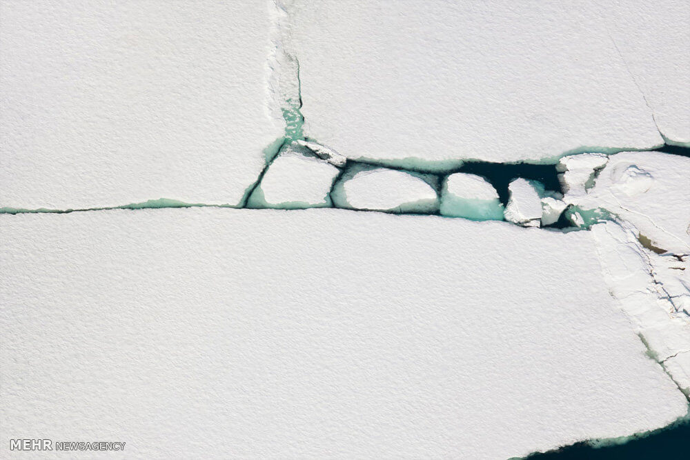 عکس آب شدن یخ,تصاویر آب شدن یخ,عکس آب شدن یخ در قطب شمال