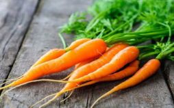 تصاویرفوایدهویج,