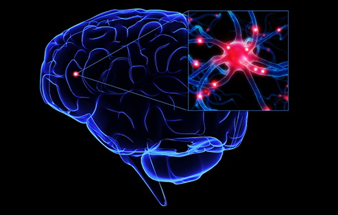 ایستگاه فضایی بین المللی ایستگاه فضایی بین المللی,اخبار علمی,خبرهای علمی,نجوم و فضا