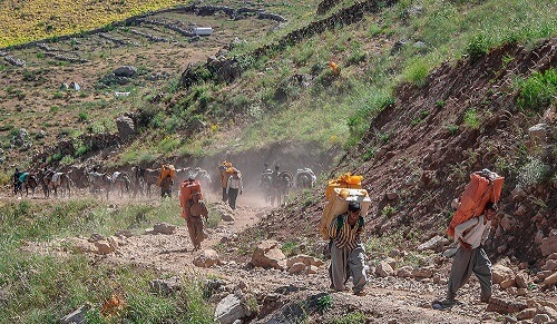 کولبران,اخبار اجتماعی,خبرهای اجتماعی,جامعه