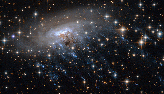 کهکشان عروس دریایی,اخبار علمی,خبرهای علمی,نجوم و فضا