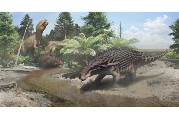 کشف فسیل دایناسوری از دوران کرتاسه,اخبار علمی,خبرهای علمی,اختراعات و پژوهش
