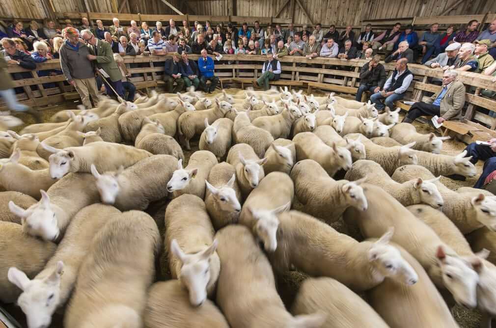 صاویر اتفاقات دیدنی بیست و هفتم مرداد 96,عکسهای دیدنی 18 آگوست 2017,تصاویر 27 مرداد 96