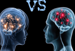 مغز,اخبار پزشکی,خبرهای پزشکی,تازه های پزشکی