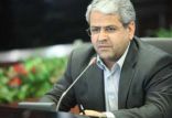 اخبار اقتصادی,خبرهای اقتصادی,اقتصاد کلان,سید کامل تقوی نژاد