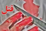 اخبار حوادث,خبرهای حوادث,جرم و جنایت,قاتل تلگرامی