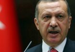 اخبار سیاسی,خبرهای سیاسی,خاورمیانه,رجب طیب اردوغان
