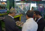 کارخانه چسب هل,اخبار اشتغال و تعاون,خبرهای اشتغال و تعاون,اشتغال و تعاون