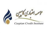 اخبار اقتصادی,خبرهای اقتصادی,بانک و بیمه,موسسه کاسپین