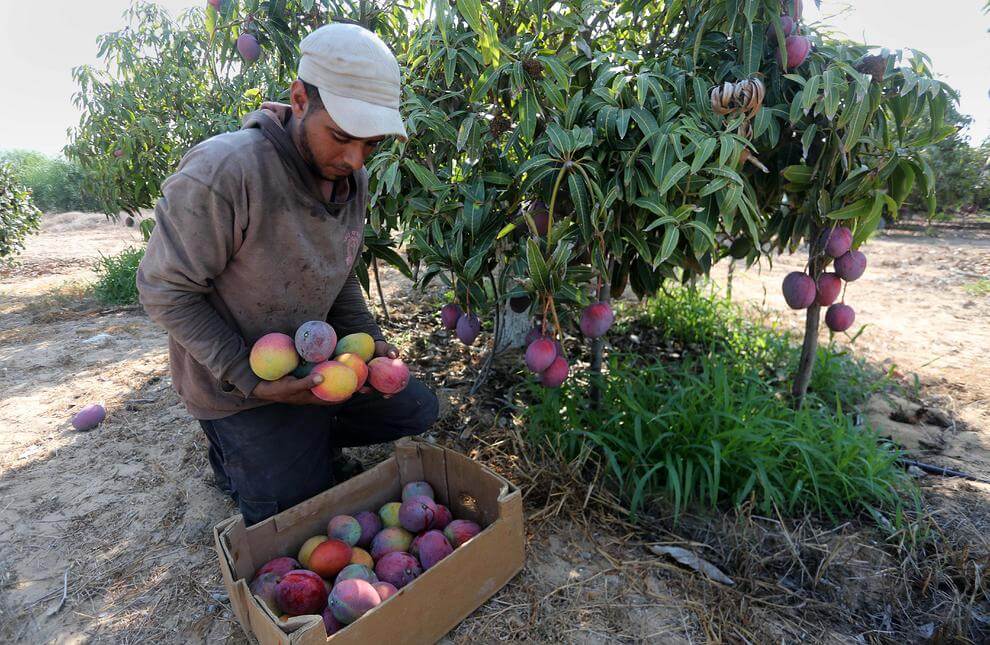 عکس های خورشید گرفتگی در آمریکا,تصاویر برخورد ناو جنگی آمریکایی با یک کشتی در آب های سنگاپور,عکس های رویدادهای مهم جهان در 31 مرداد 96