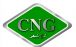 سی ان جی (سوخت CNG)