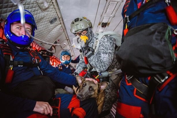 تصاویر پرش سگ‌های جنگی از ارتفاع ۴۳۰۰ متری,تصویر پرش سگ‌های جنگی از ارتفاع ۴۳۰۰ متری,عکس پرش سگ‌های جنگی از ارتفاع ۴۳۰۰ متری
