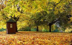 تصاویر پاییز,عکس های روزهای پایانی فصل تابستان, روزهای پایانی فصل تابستان
