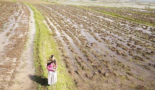 پروژه کارستان پروژه کارستان,اخبار فیلم و سینما,خبرهای فیلم و سینما,سینمای ایران